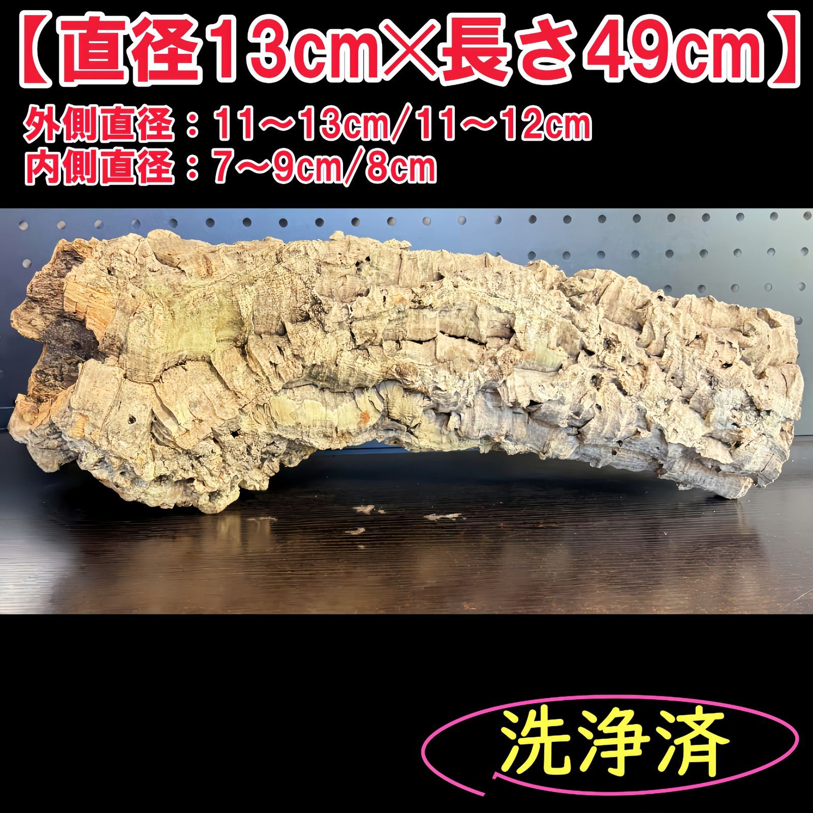 SD208 ポルトガル産 キャノンコルク コルク樹皮 コルク板 バージンコルク チランジア ビカクシダ 着生ラン 両生類 爬虫類