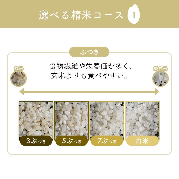 7分 胚芽米