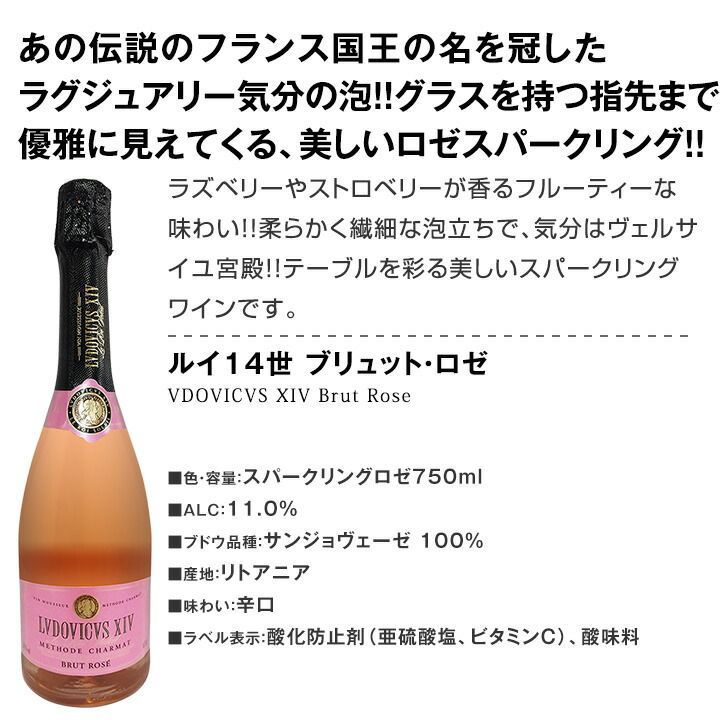 12本 セット