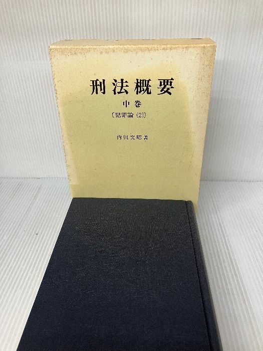 刑法概要(犯罪論2)中巻 (中巻) 青林書院 内田 文昭