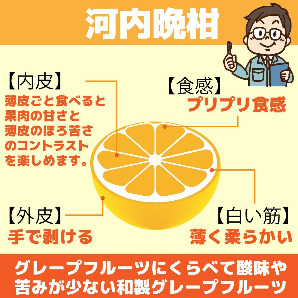 のサムネイル