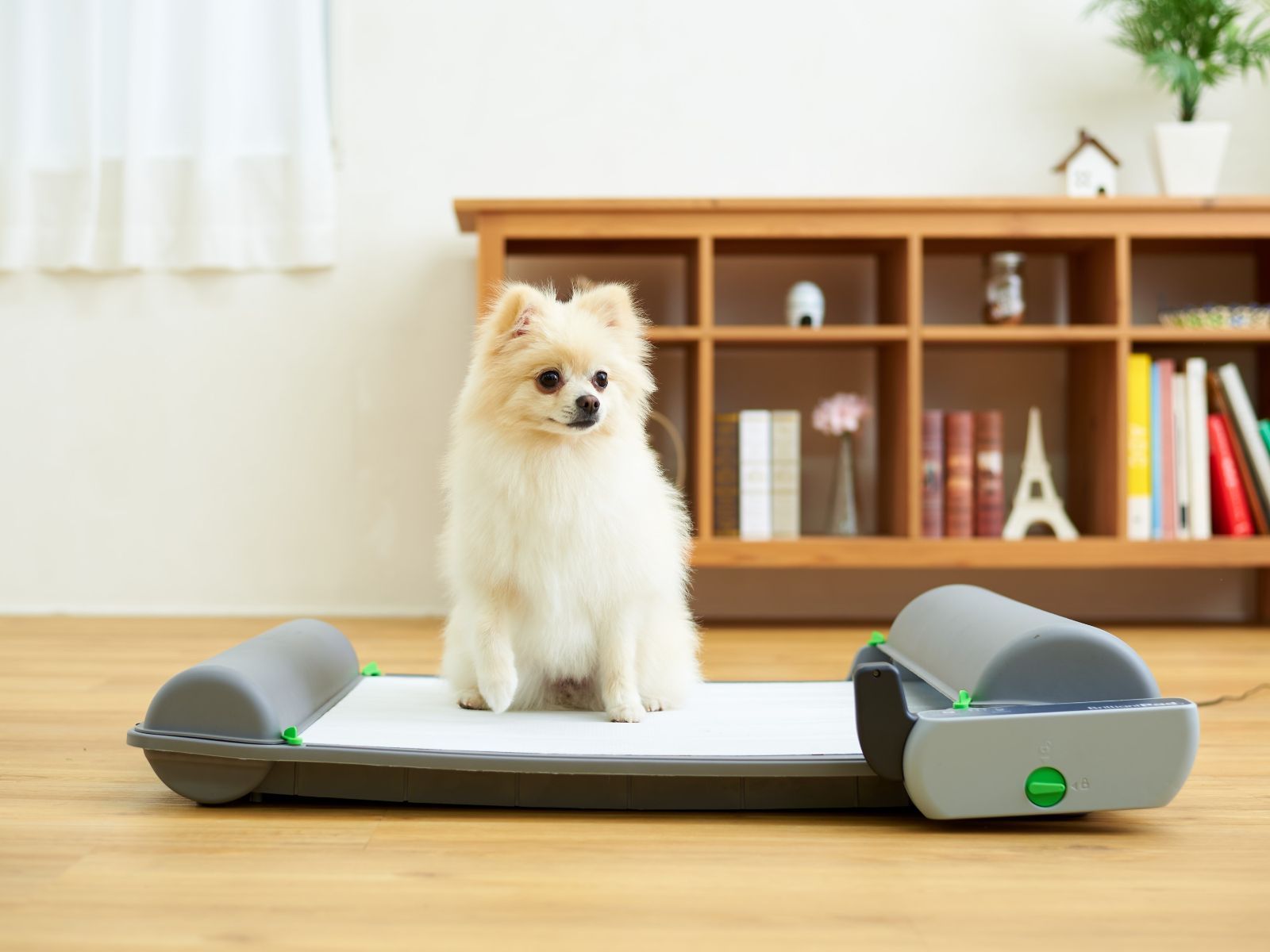 【撮影サンプル品】ブリリアントパッドSMART【犬トイレ】※外箱に一部傷あり。クリーニング済み。