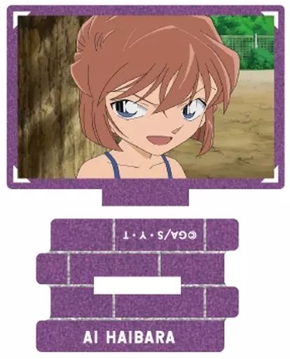 中古】アクリルスタンド・アクリルパネル 5.灰原哀 「名探偵コナン