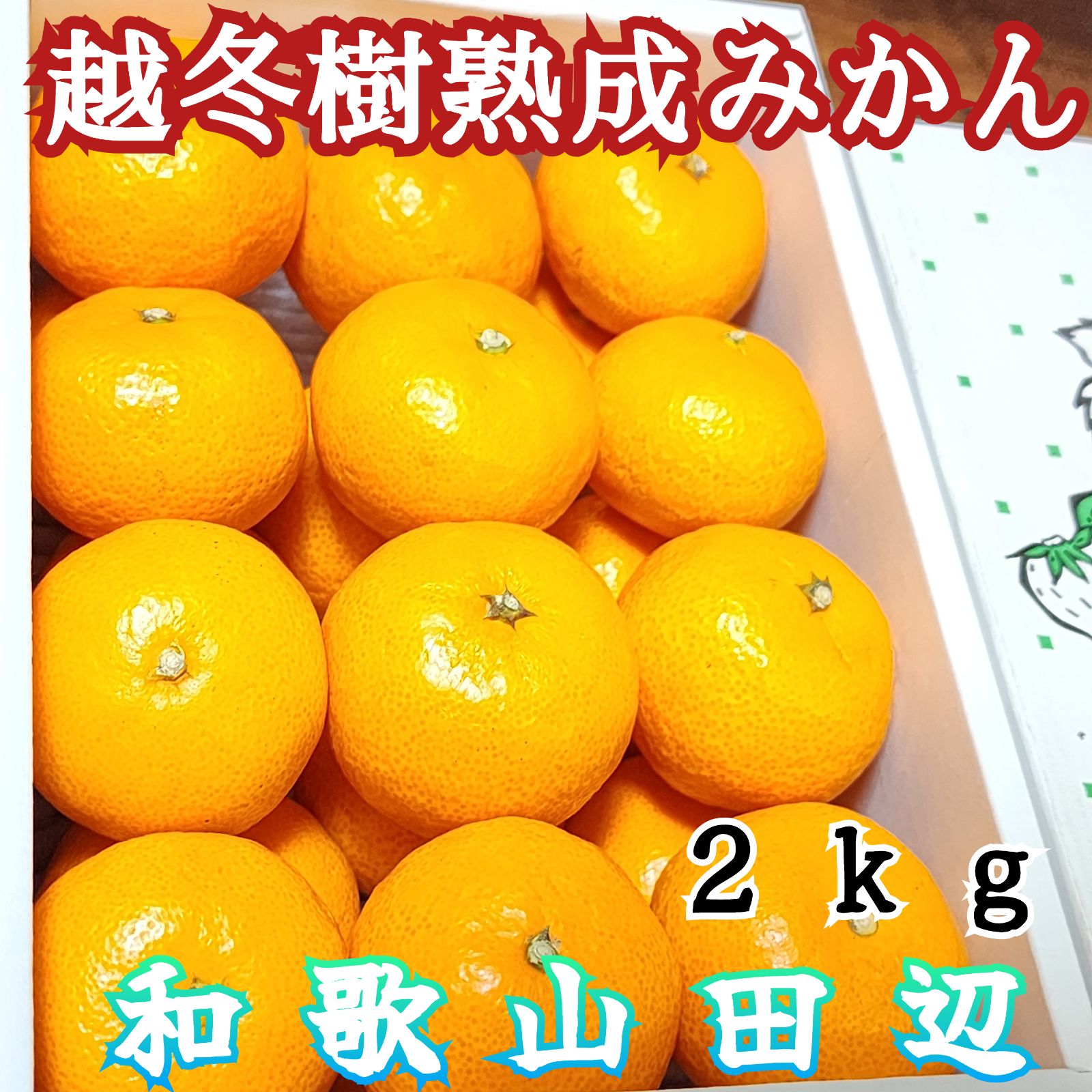 和歌山 田辺熟成「越冬木熟みかん」2kg 2sサイズ 熟成みかん お誕生日