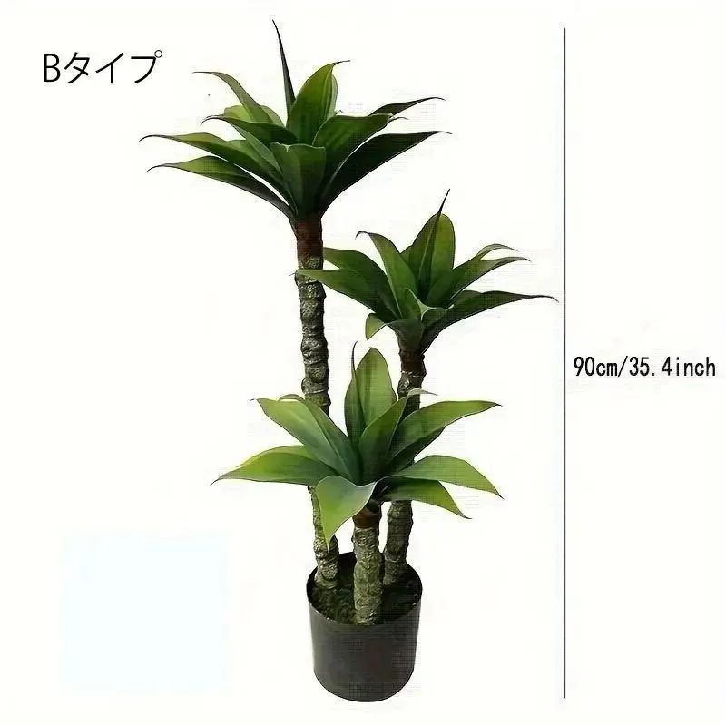 アガベ 65cm