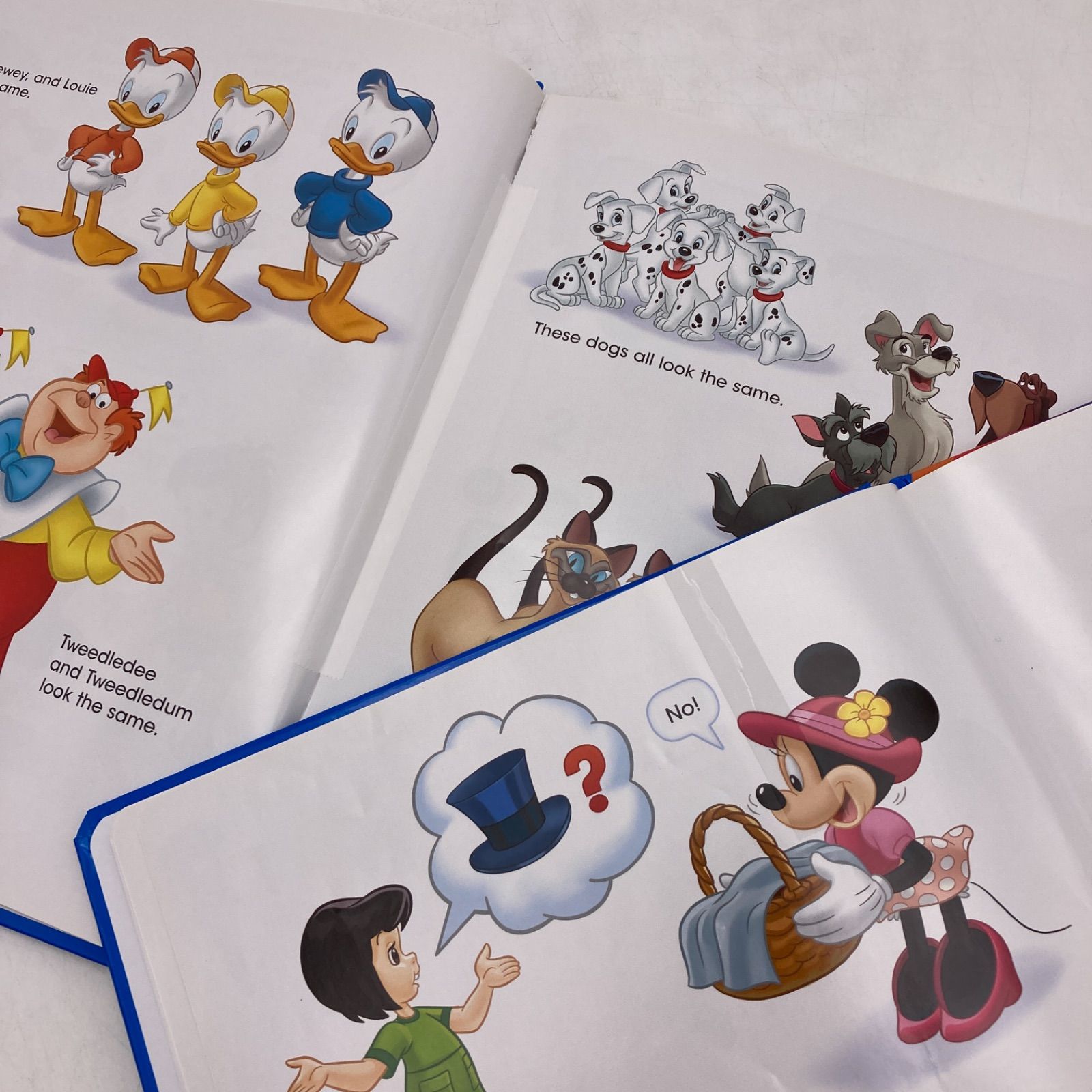 最新版】2020年購入 メインプログラムセット ブルーレイ 絵本 CD ディズニー英語システム DWE Disney ワールドファミリー 中古  707221 - メルカリ