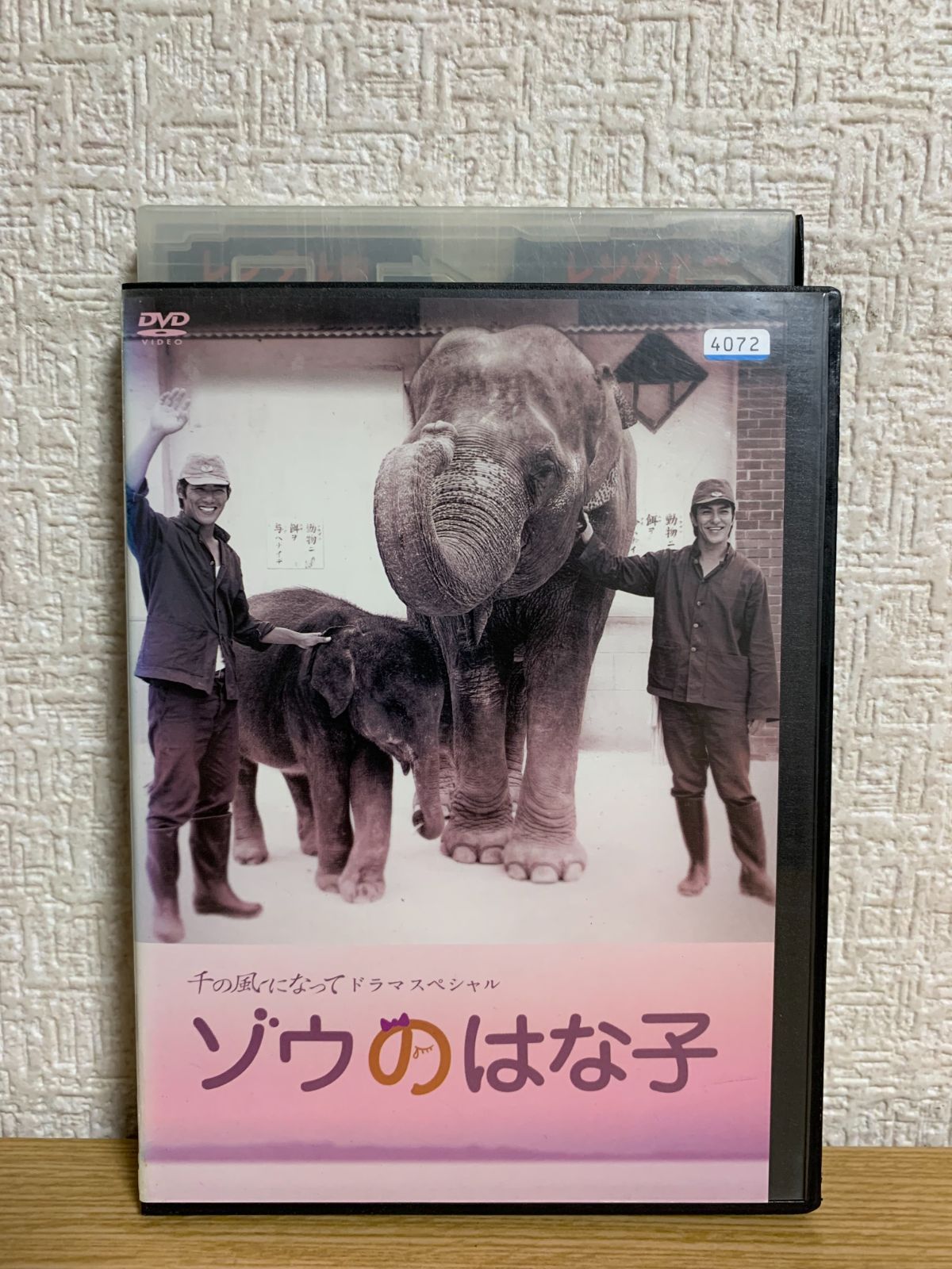 千の風になって ドラマスペシャル ゾウのはな子 DVD - メルカリ