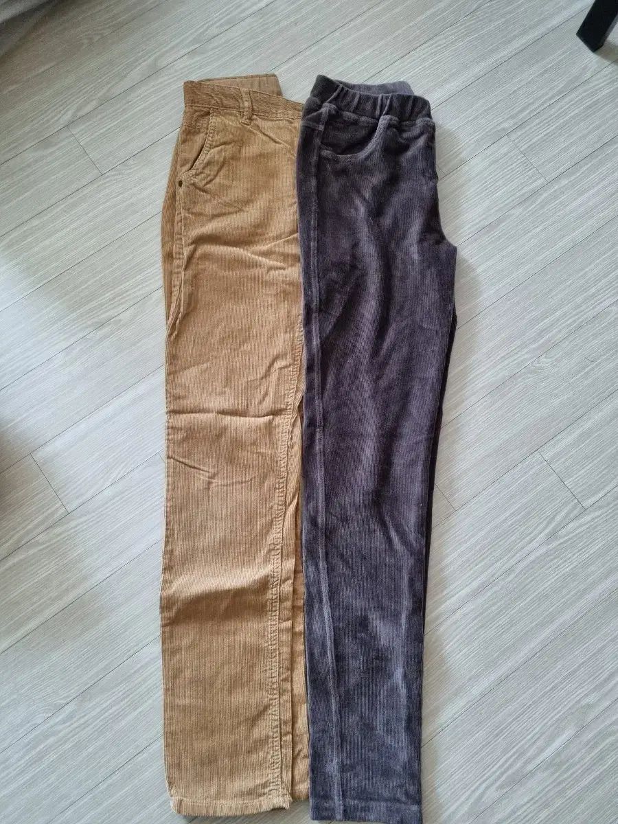 ゴールデンパンツ 160 サイズ 160サイズ | ゴールデンベアストア mont