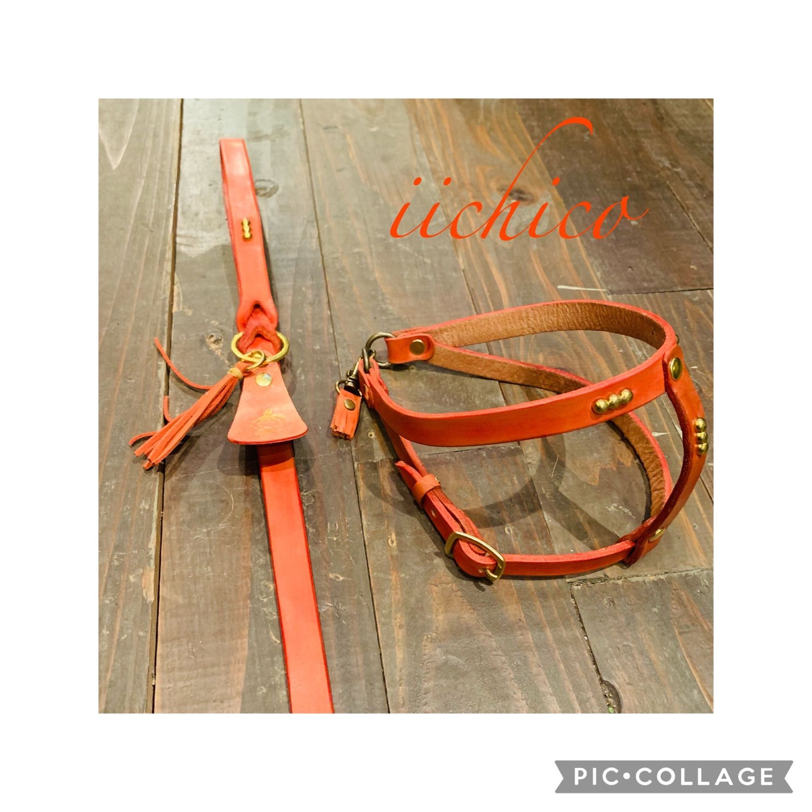 手染めstudsリード＆ハーネス2点SET❗️orange SALE❣️ セール