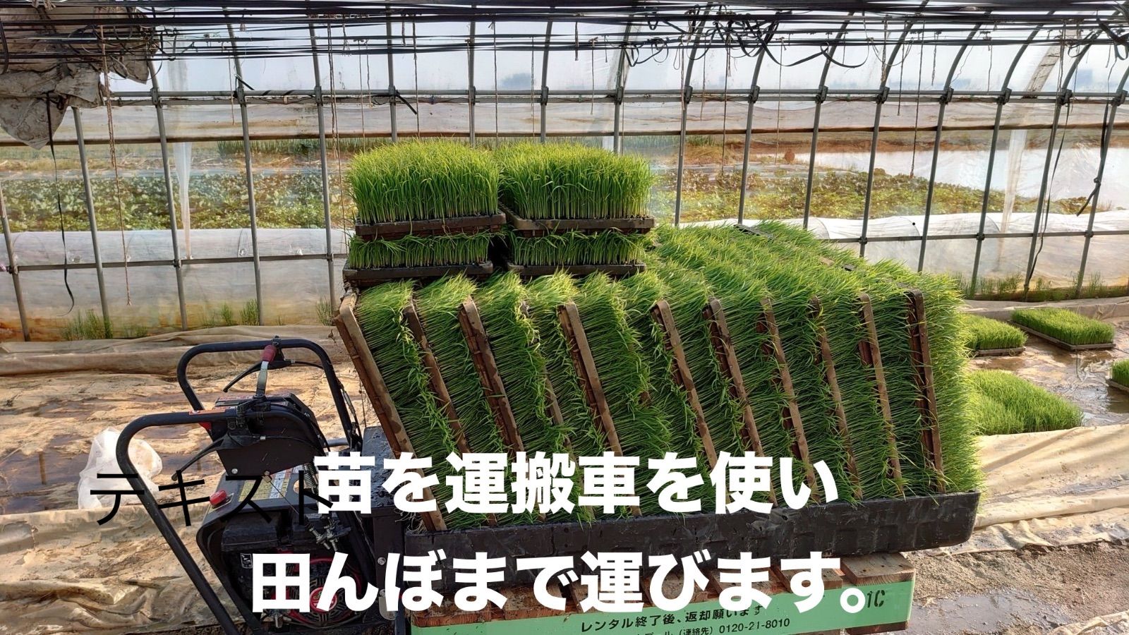 小分け
