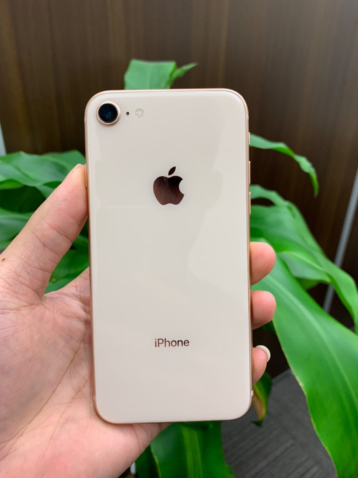 iPhone 8 64Gb Gold 公式通販 iPhone 8 Gold 64 GB その他