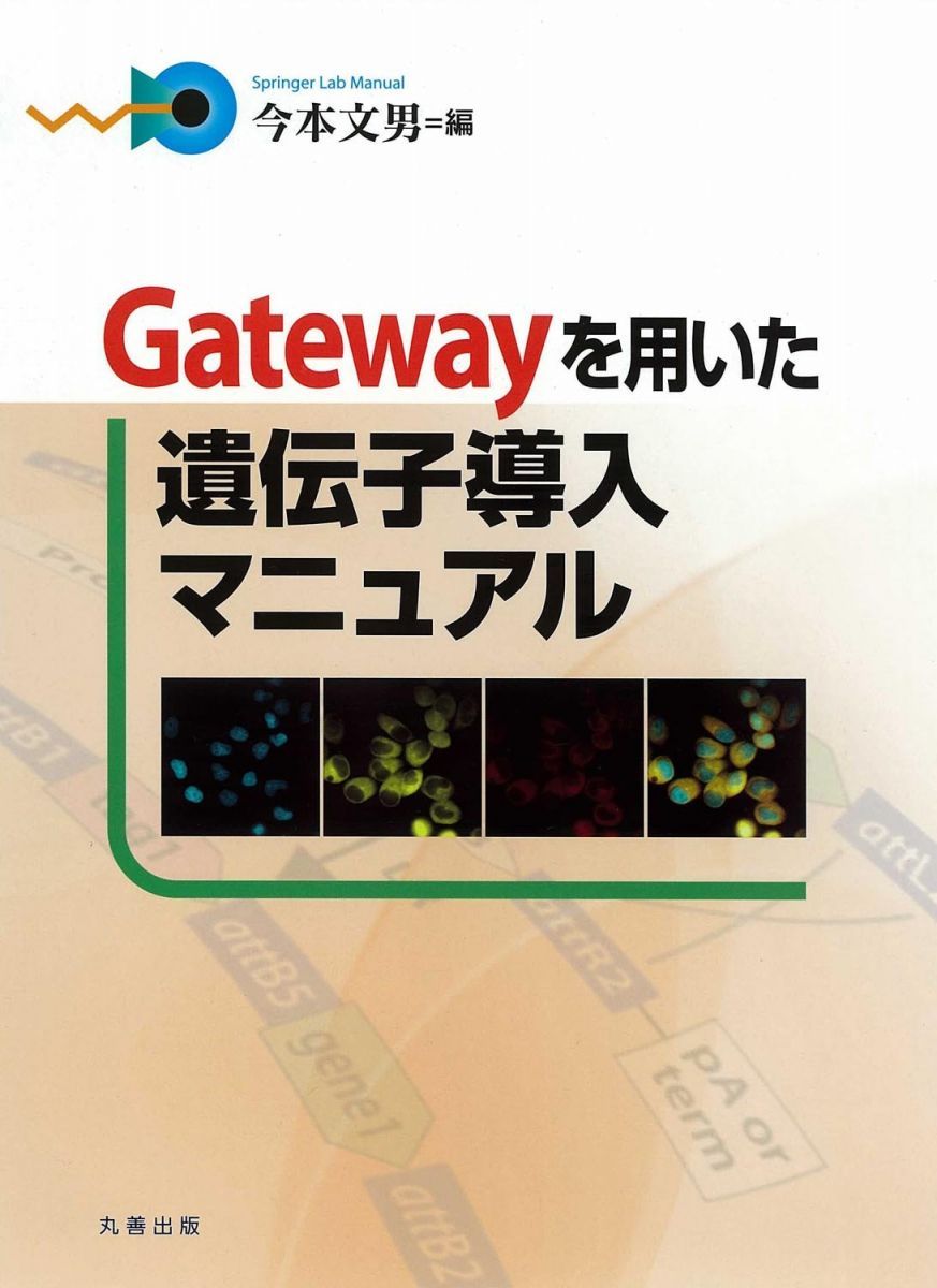 Gatewayを用いた遺伝子導入マニュアル (Springer Lab Manual) 今本 文男