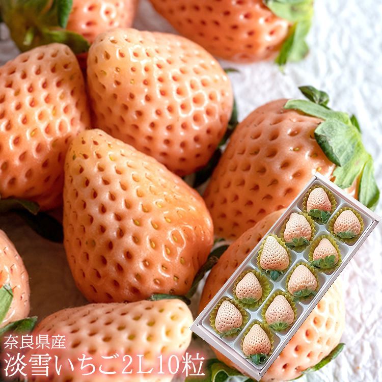 doTERRA クローブ ミルラ セール エッセンシャルオイル 年末限定値下げ