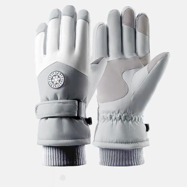 スキーグローブ