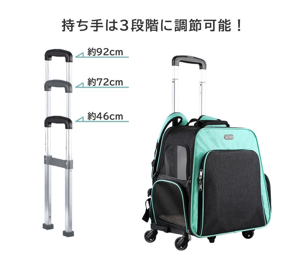 小型犬