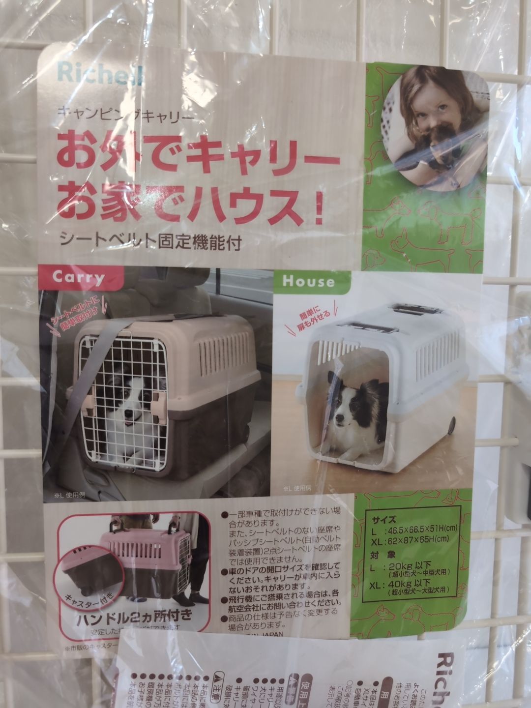 Lサイズ アイボリー