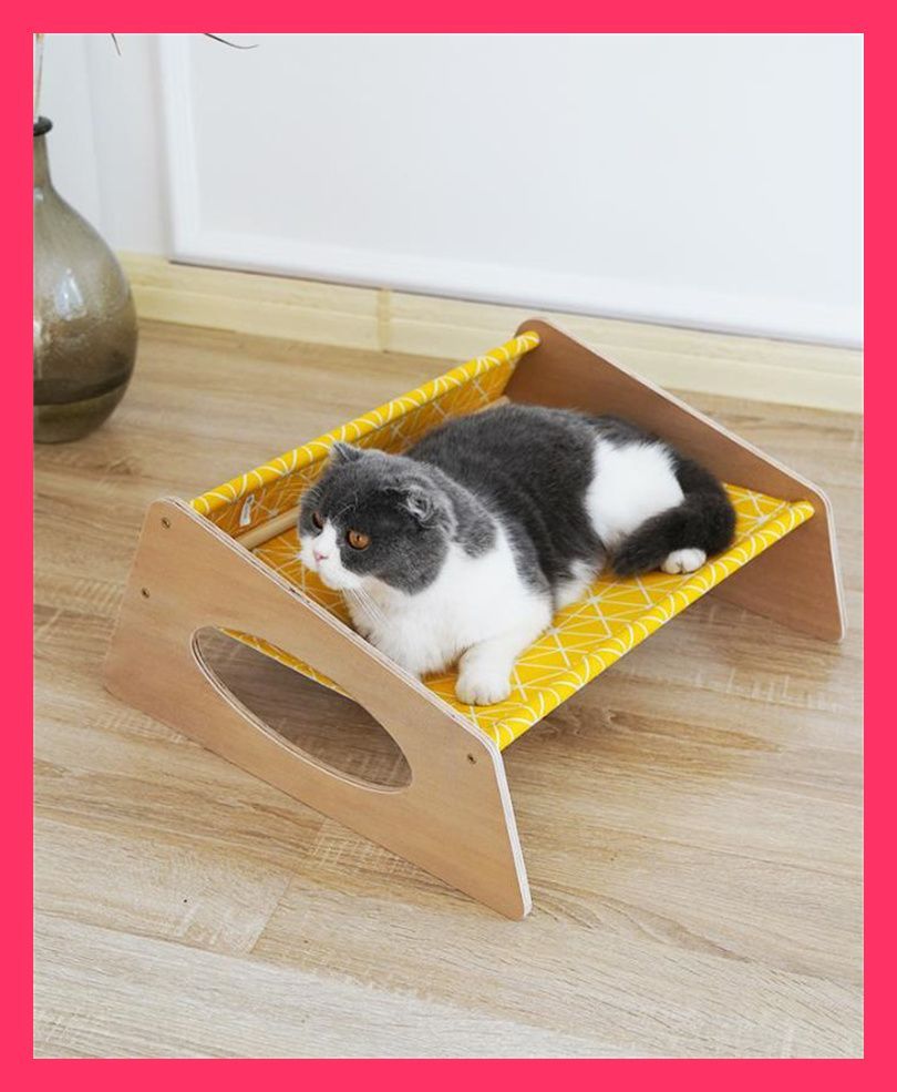売れ行き1位 実木猫ハンモック 昼寝 中型ペット小屋 ペットベッド 四季共通 ペ 実木猫ハンモック 昼寝 中型ペット小屋 ペットベッド 四季 実木猫ハンモック 昼寝 中型ペット小屋 アンティーク おしゃれ　こだわり N2JY20230817