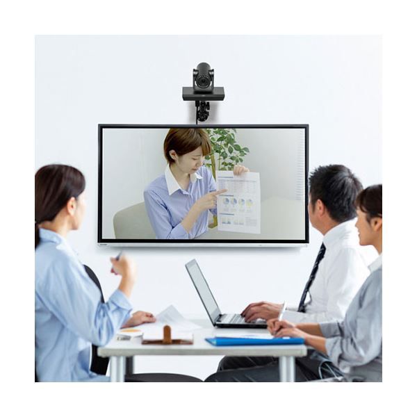 サンワサプライ 壁取付用カメラマウント