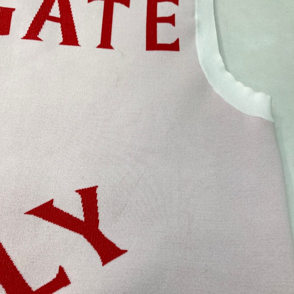 サイズ：6 PEARLY GATES パーリーゲイツ Vネック ニットベスト