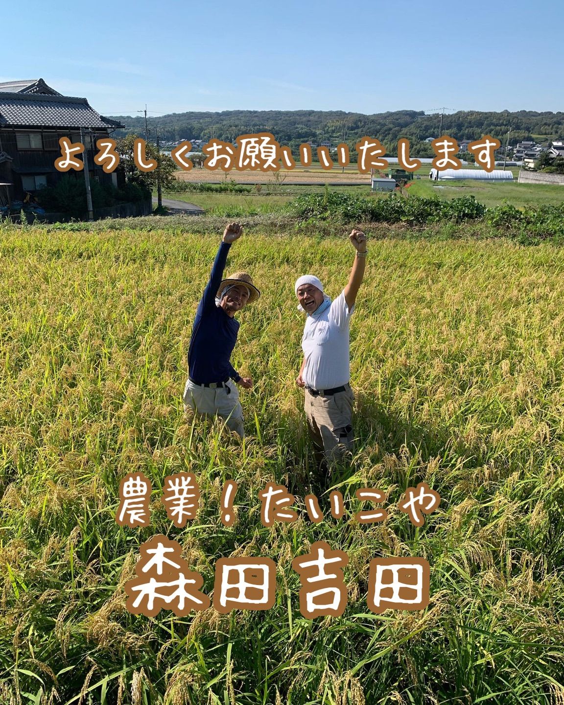 イセヒカリ】玄米5kg 新米 令和6年度兵庫県産 無農薬無施肥の