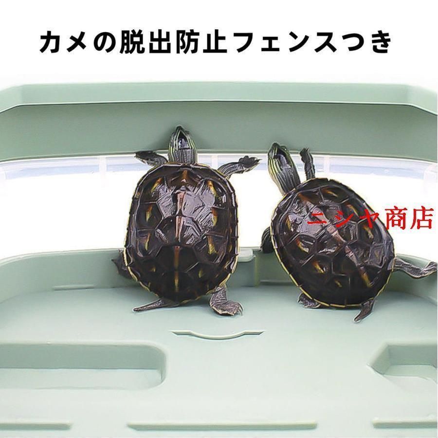 飼育ケース