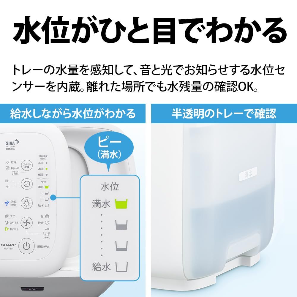どっちも給水 レギュラータイプ