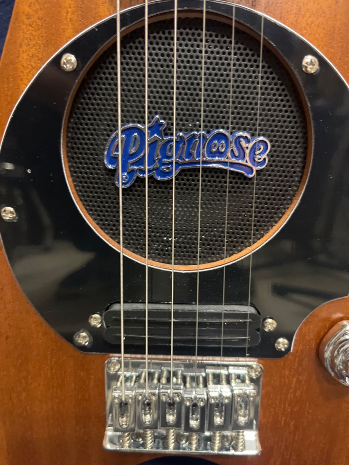 PIGNOSE PGG-200V
