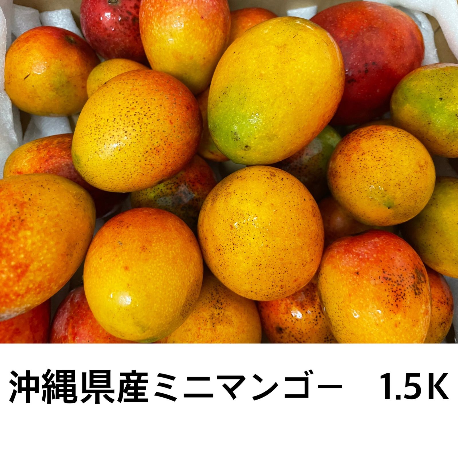 予約中！】 沖縄産☆ミニマンゴー1.5kg(11)