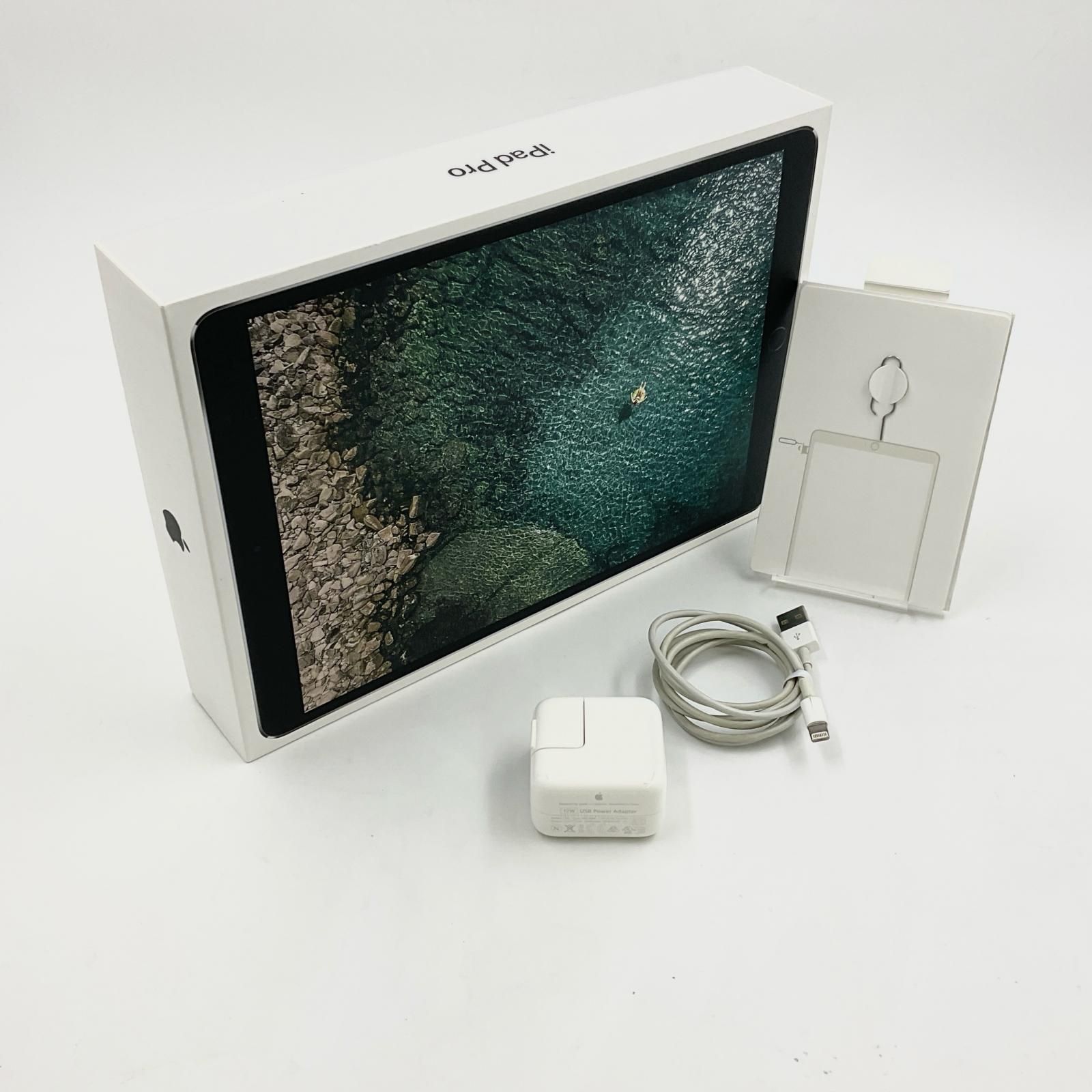 iPad Pro 10.5 64GB シルバー 1世代 ApplePencil iPad Pro 10.5 wi-fi