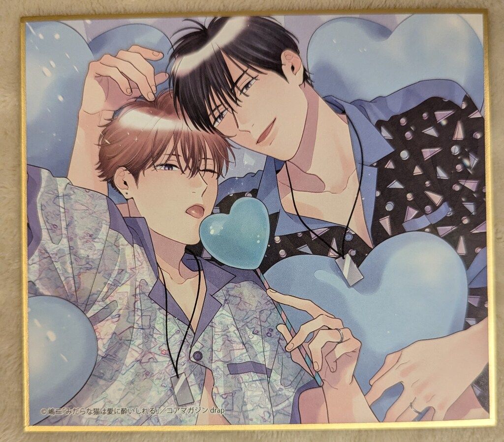 drap 25周年記念展 ミニ色紙 朝川さい先生 drap 25周年 記念展 朝川さい オーロラカード 色紙 ミニ色紙