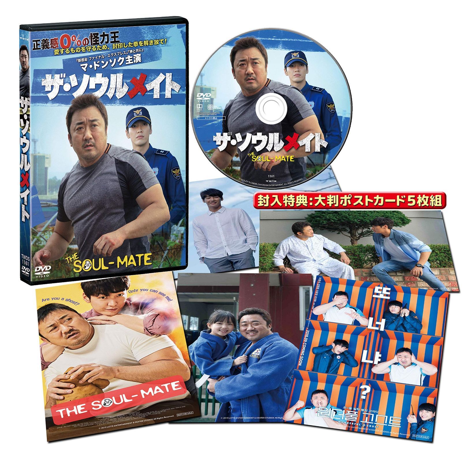 ザ・ソウルメイト [DVD]