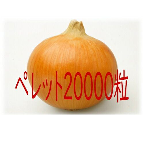 入荷次第出荷 カネコ種苗 マルソー 玉葱 ペレット２００００粒
