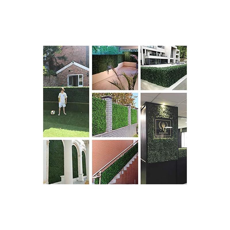 ウォールグリーン