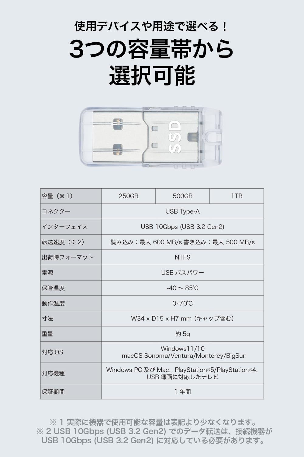 プリンストン 超小型 SSD 外付け 500GB コンパクト ポータブル USB3.2 Gen2 PC Mac PS5 PS4 PHD-USSD-500G CHRISTIANNAURATH_COM_BR