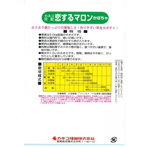 カネコ種苗 恋するマロン 南瓜 １０００粒