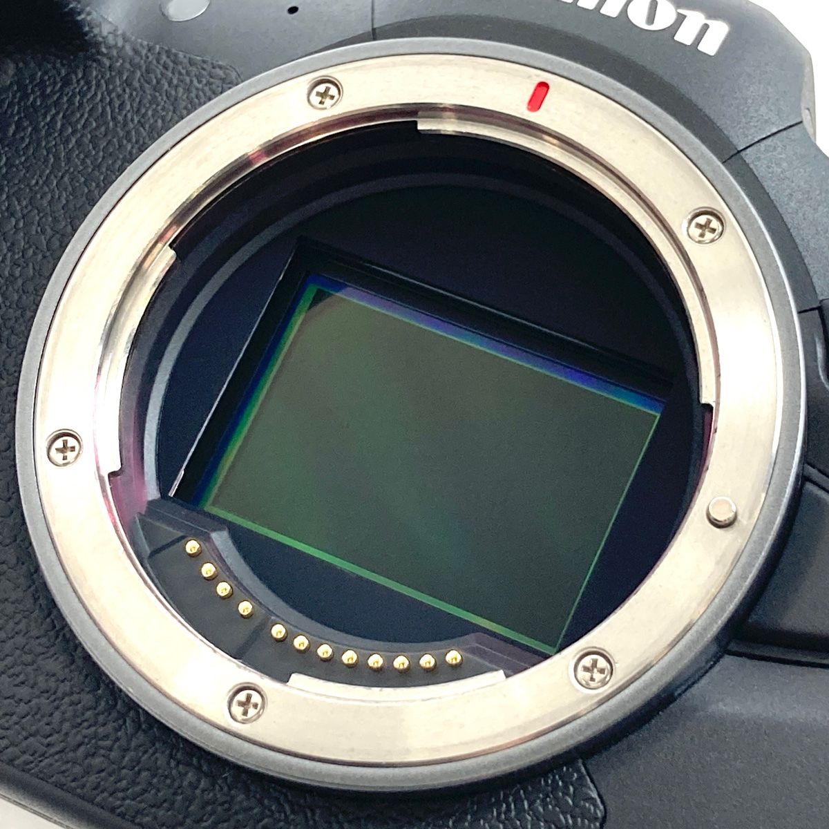 Canon EOS R6 本体 5000ショット未満 Canon EOS R6 本体 5000ショット未満 EOS R6 Mark II・ボディー