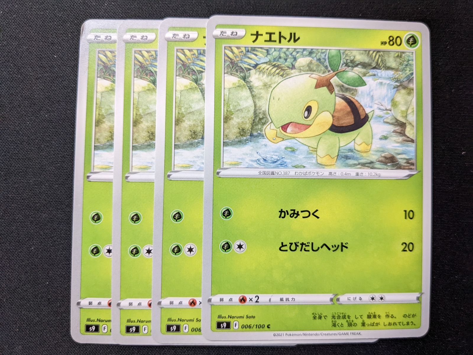 ポケモンカードゲーム S9 ナエトル ハヤシガメ ドダイトス - メルカリ