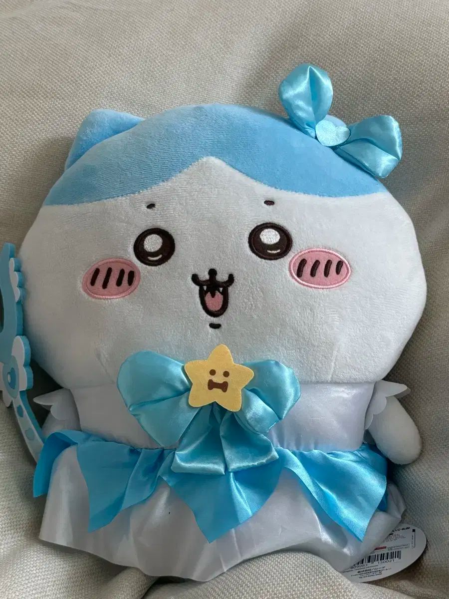 姉妹