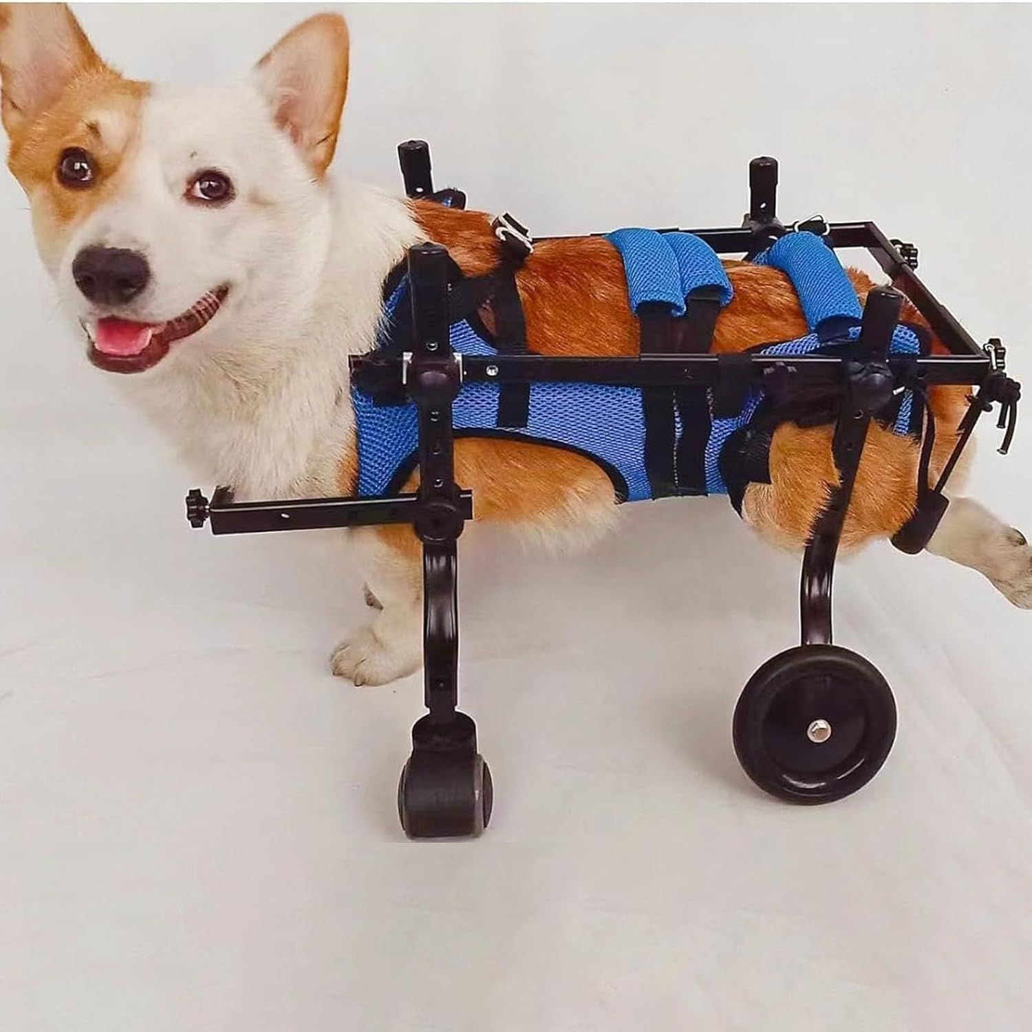 犬用車椅子 犬用歩行器 後ろ足 ペット車椅子 歩行補助 犬用