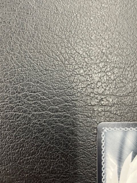 ◎ヴァイスシュヴァルツ プロセカ アウトドアクッキング！青柳冬