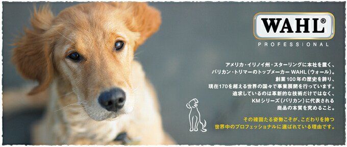パフォーマンス