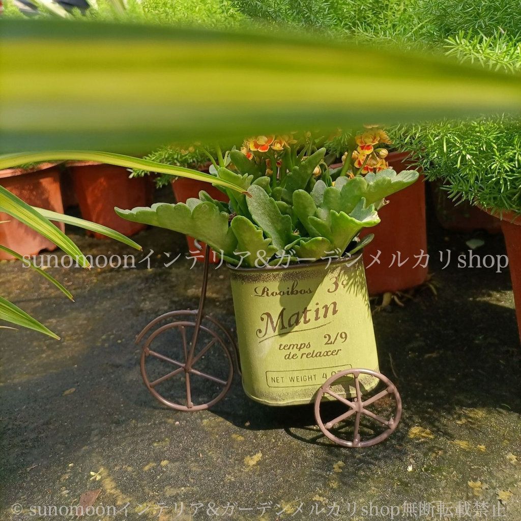 寄せ植え