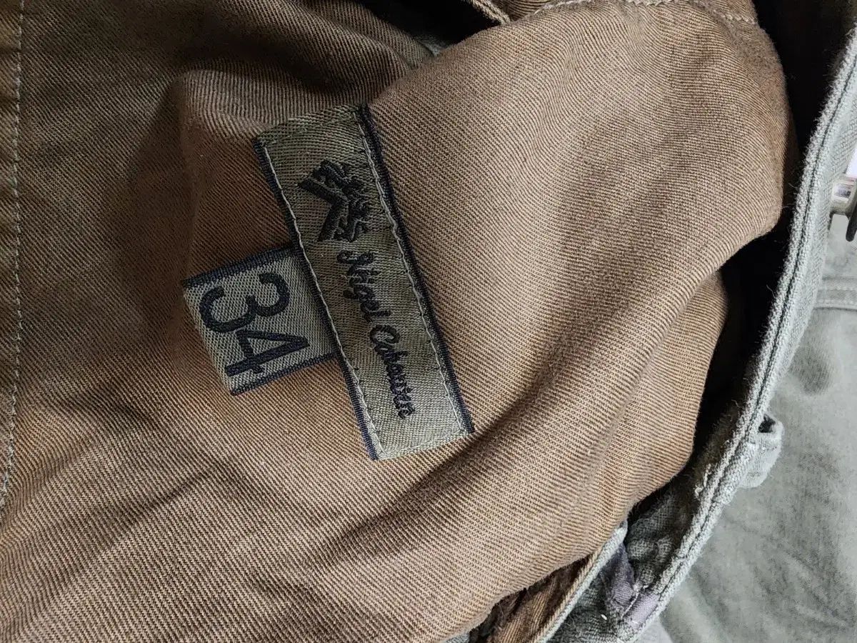 オリーブ 34