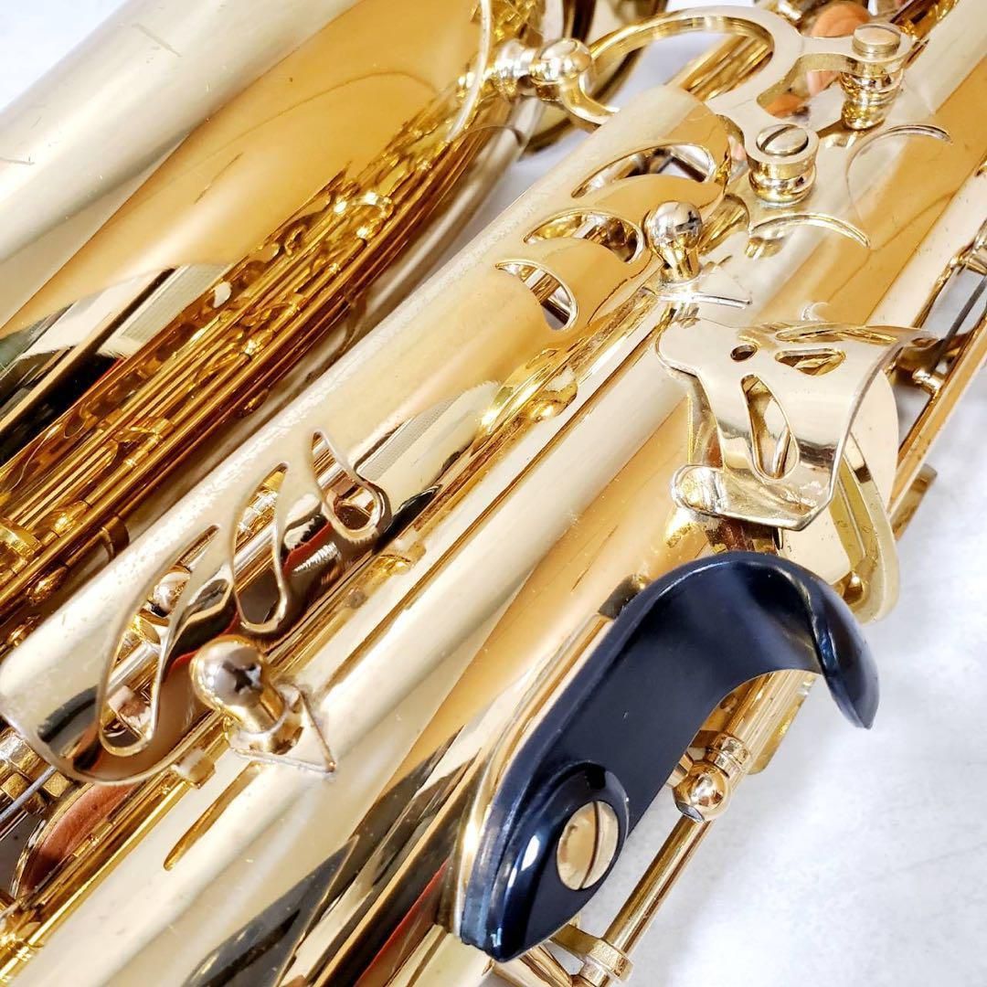 メンテナンス済み】 トレバージェイムス アルトサックス ハード