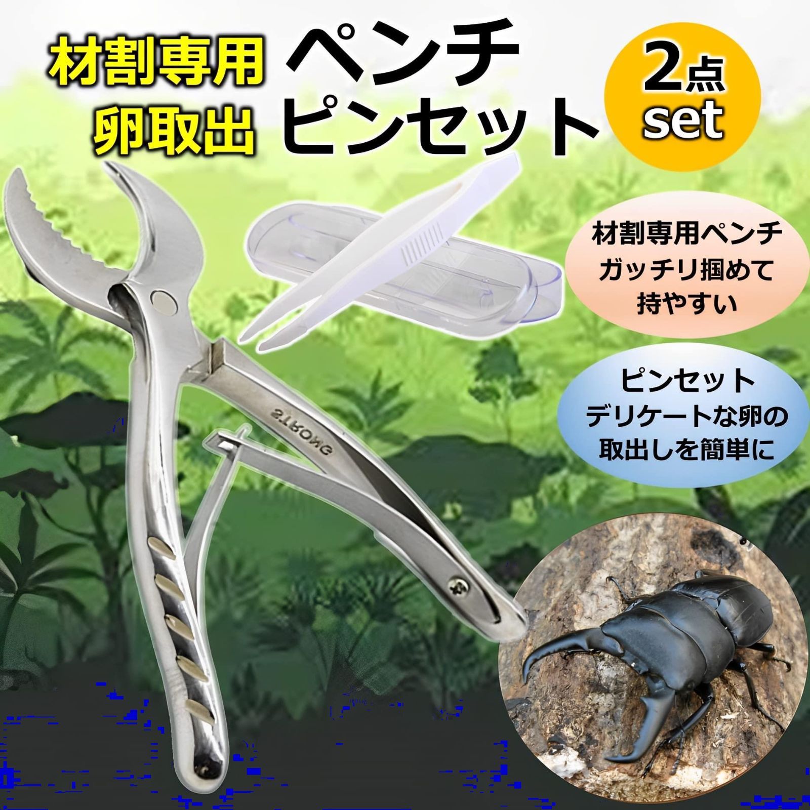 2点セット 自由研究