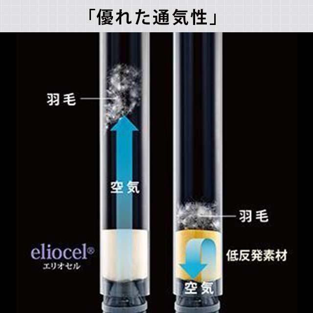 モデル246 ダブル