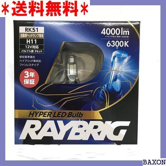 XDP1 RAYBRIG レイブリック LEDヘッドライトランプ H11 6300K RK51