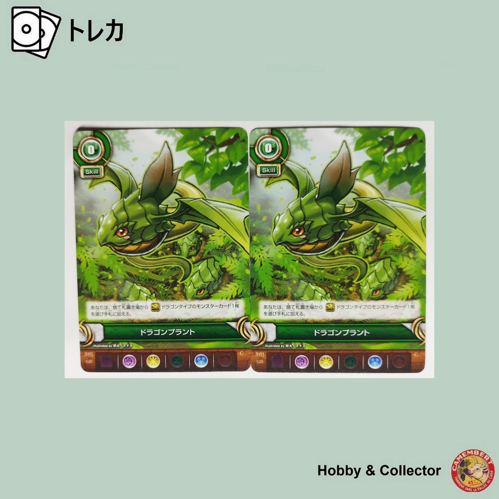 ドラゴンプラント S01-020 パズル&ドラゴンズTCG 2枚 ( #9406 ) - メルカリ
