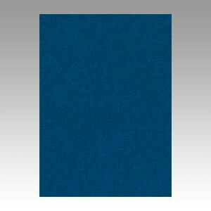（まとめ） 色画用紙 文運堂 ニューカラーＲ 藍色 4NCR-320 4954022643201 1冊【×5セット】 9,576円