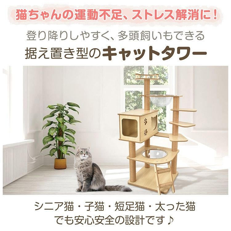 宇宙船付き